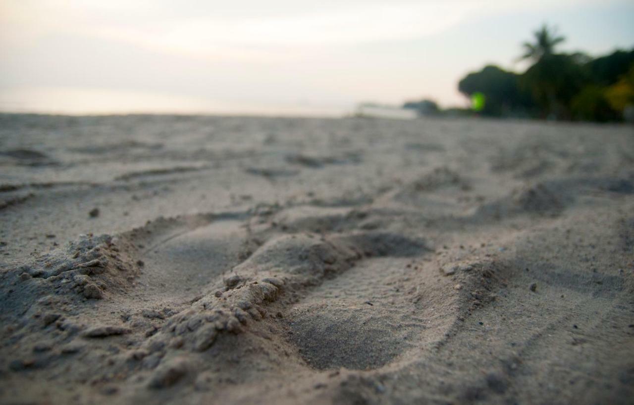 'Newly Refurbished' 'Sunny Seaview' At Regency With 2 Carpark By Shine Stay ポートディクソン エクステリア 写真